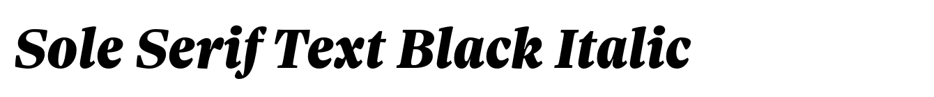 Sole Serif Text Black Italic